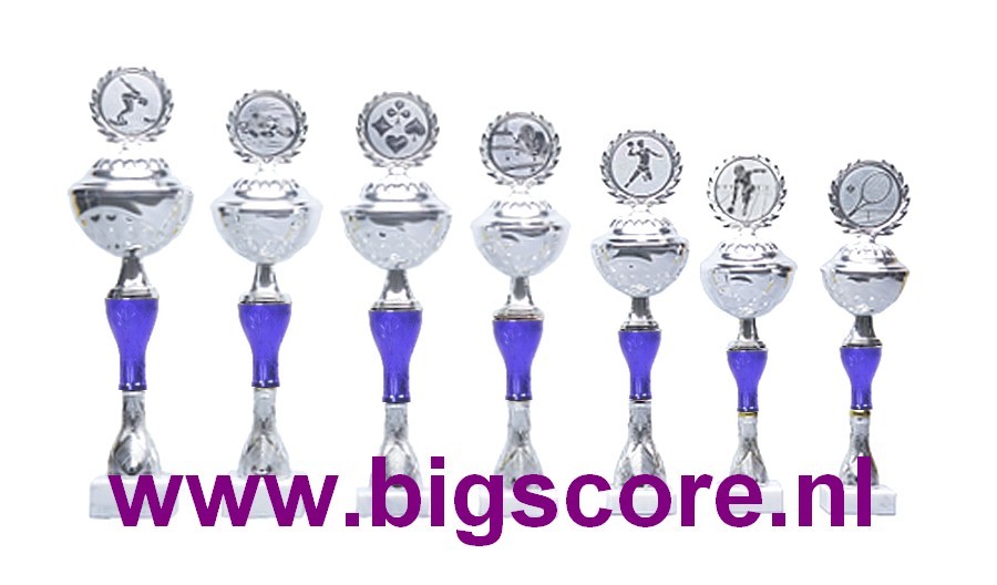 Z511 Beker Blauw-Zilver